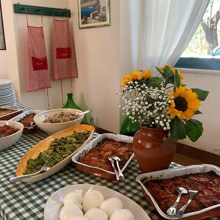 Tenuta Muzio Farm stay *