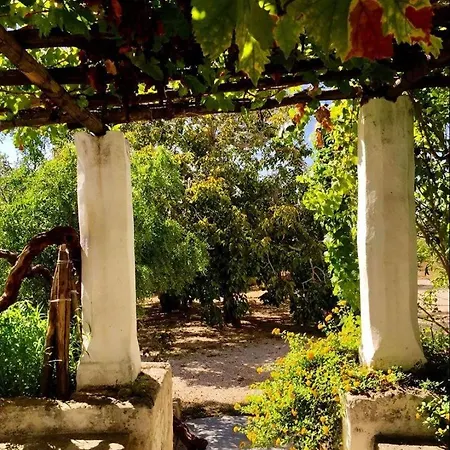 Tenuta Muzio Sannicola