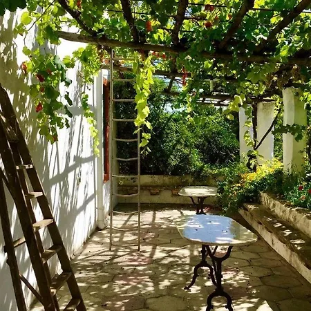 Tenuta Muzio *