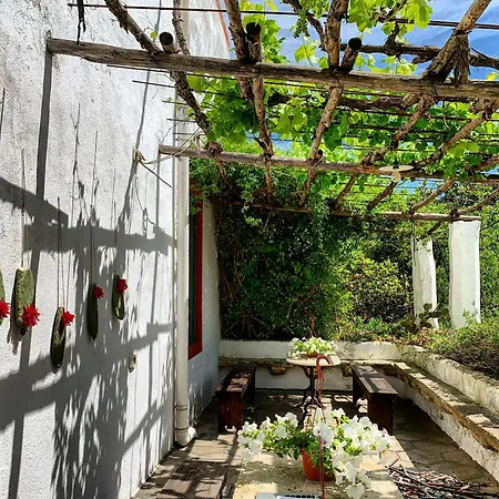 Tenuta Muzio Farm stay *