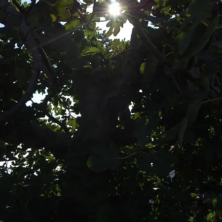 Tenuta Muzio Farm stay *
