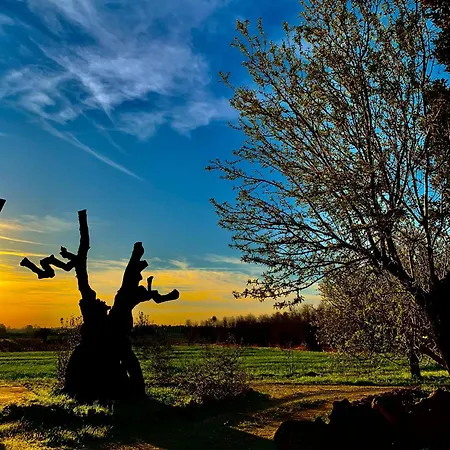 Farm stay Tenuta Muzio *