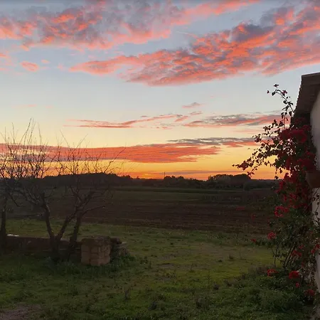 Farm stay Tenuta Muzio